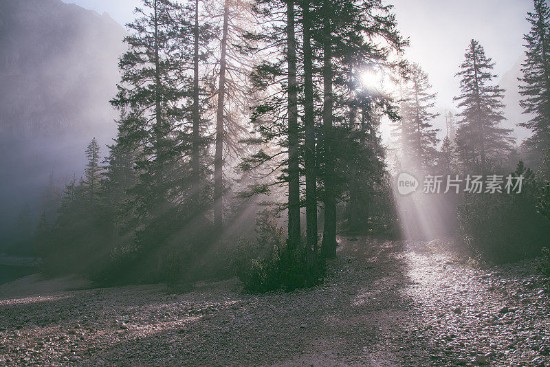 Dolomites Alps, Lake Braies, Pragser Wildsee, 南蒂罗尔, 意大利